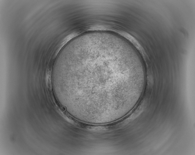 X0000112781337200909101604