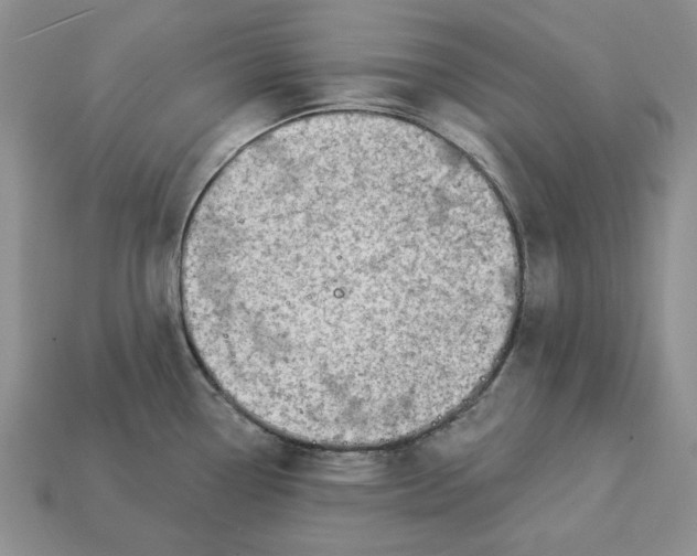 X0000112781338200909101604