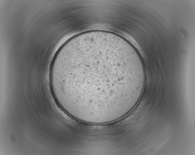 X0000112781339200909101604