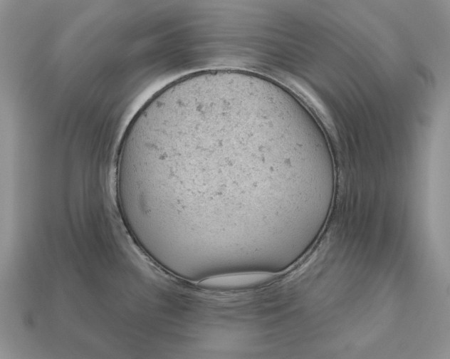 X0000112781340200909101604