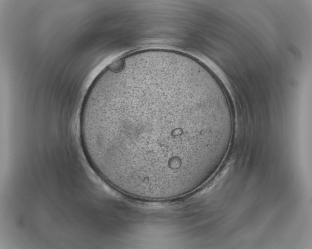 X0000112781341200909101604