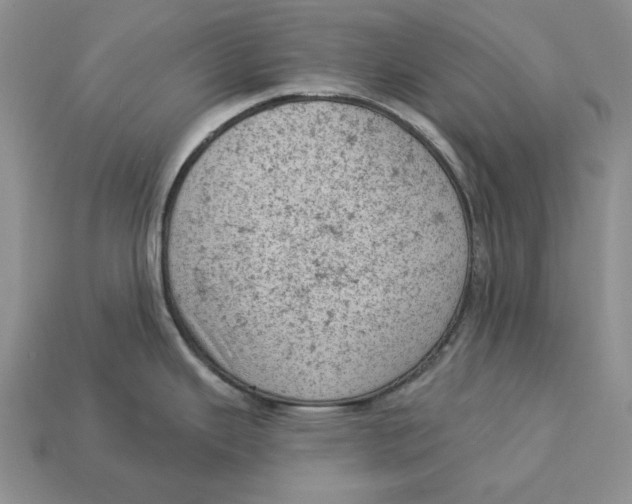 X0000112781343200909101604