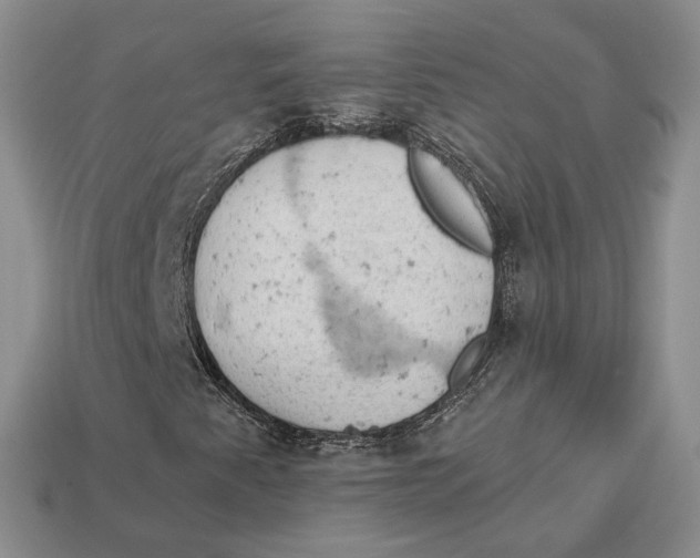 X0000112781345200909101603