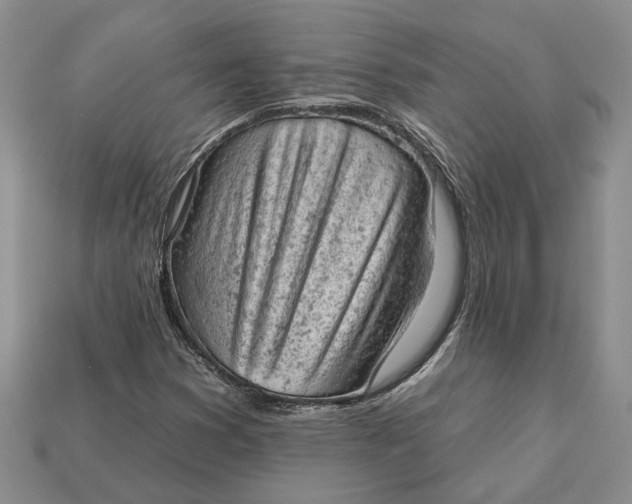 X0000112781353200909101603