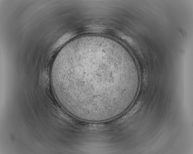 X0000112781354200909101603