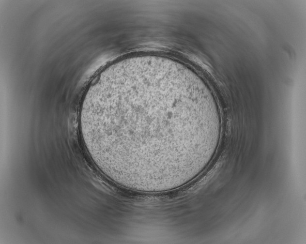 X0000112781355200909101603