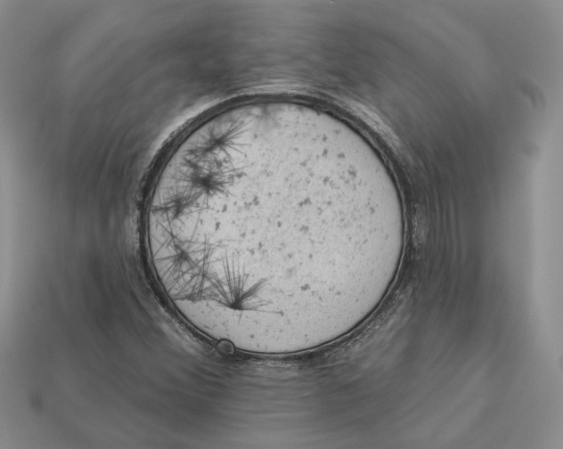 X0000112781356200909101603