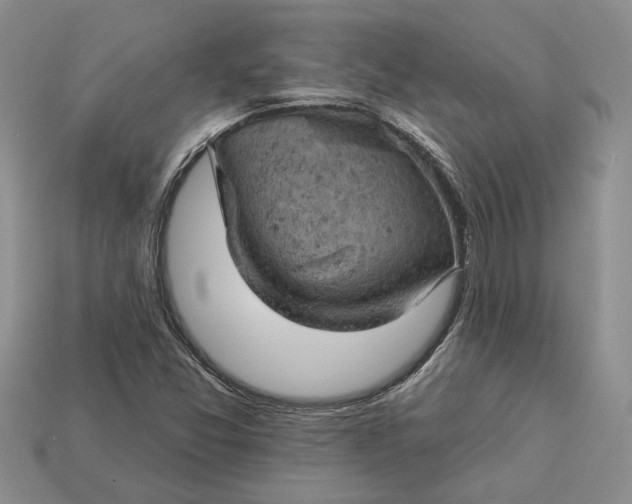 X0000112781357200909101603