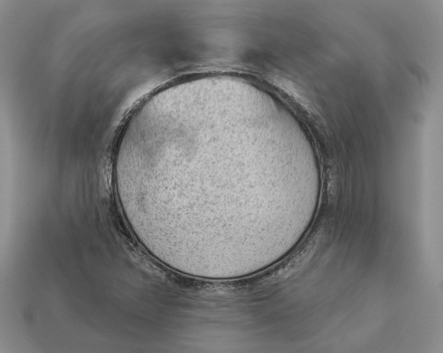 X0000112781358200909101603