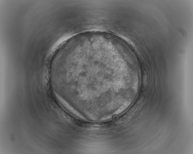 X0000112781359200909101603