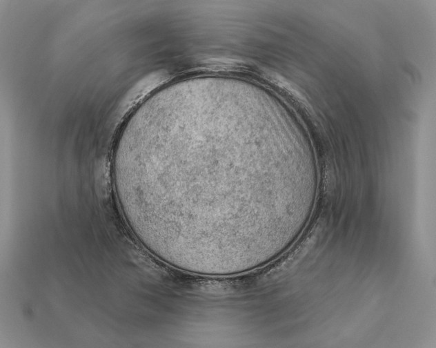 X0000112781362200909101603