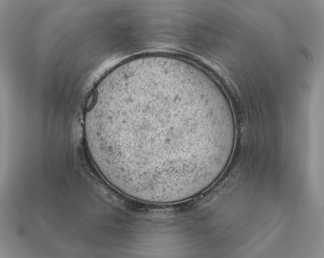 X0000112781363200909101603