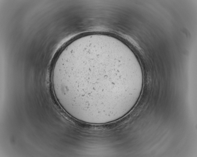 X0000112781364200909101603