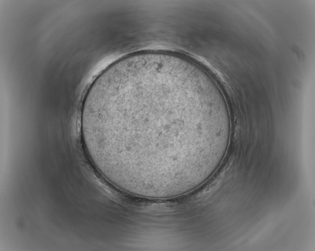 X0000112781367200909101603