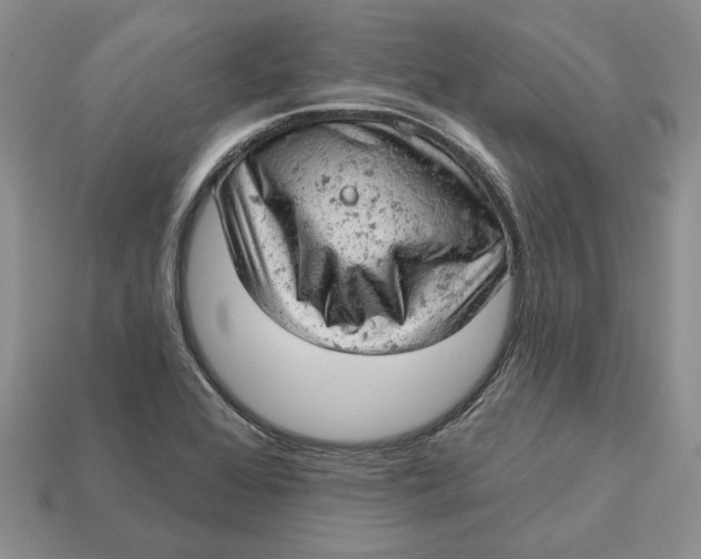 X0000112781368200909101603