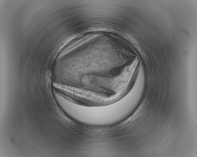 X0000112781369200909101603