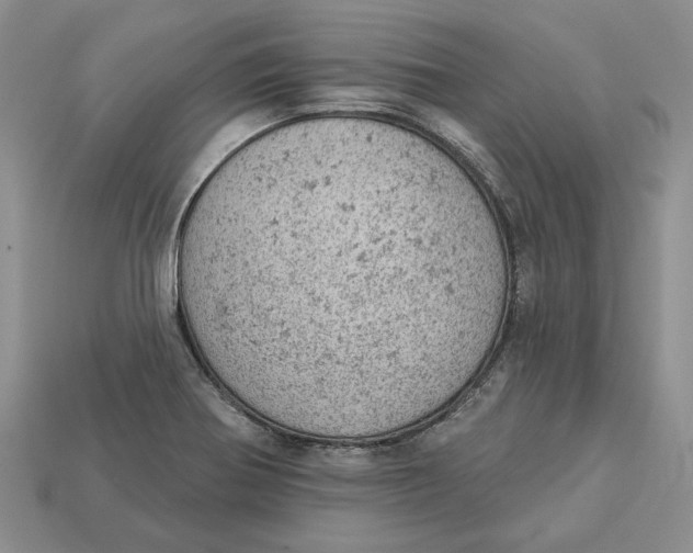 X0000112781370200909101603