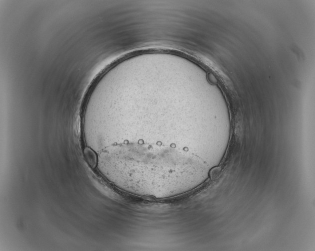 X0000112781372200909101603