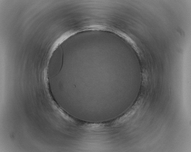 X0000112781373200909101603