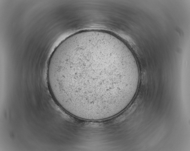 X0000112781374200909101603