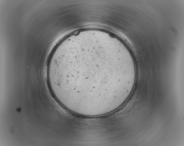 X0000112781376200909101603