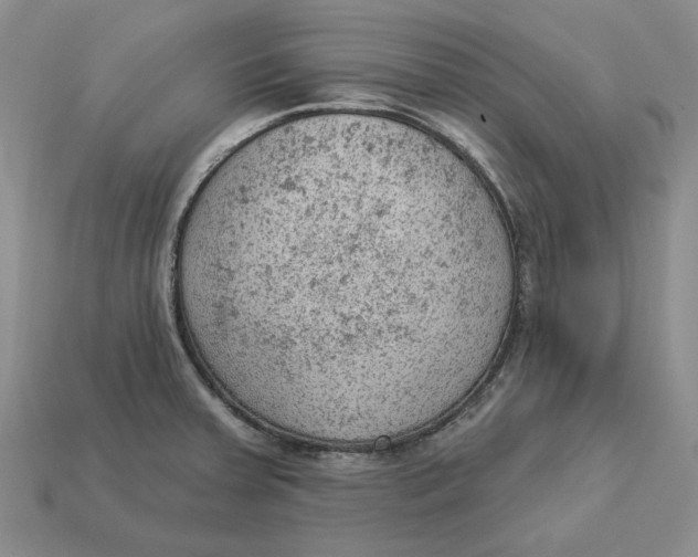 X0000112781379200909101603