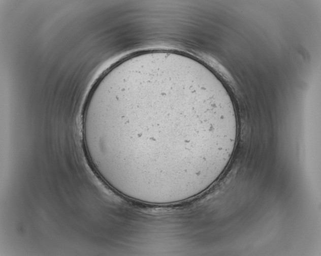 X0000112781380200909101603