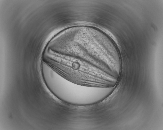 X0000112781381200909101603