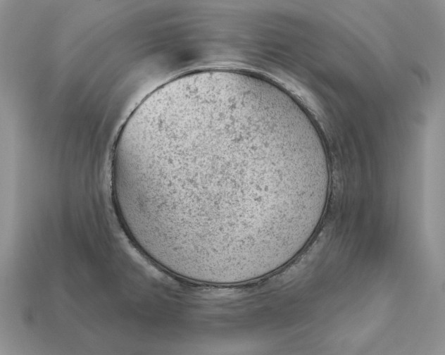 X0000112781382200909101603