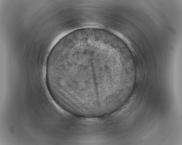 X0000112781383200909101603