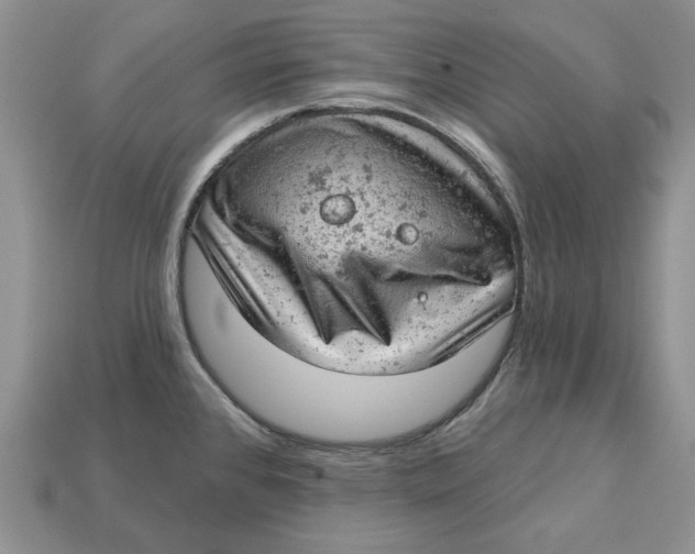 X0000112781384200909101603