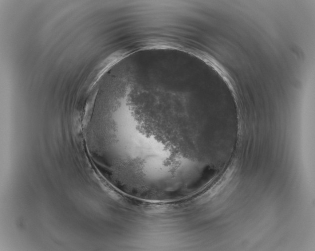 X0000112781385200909101603