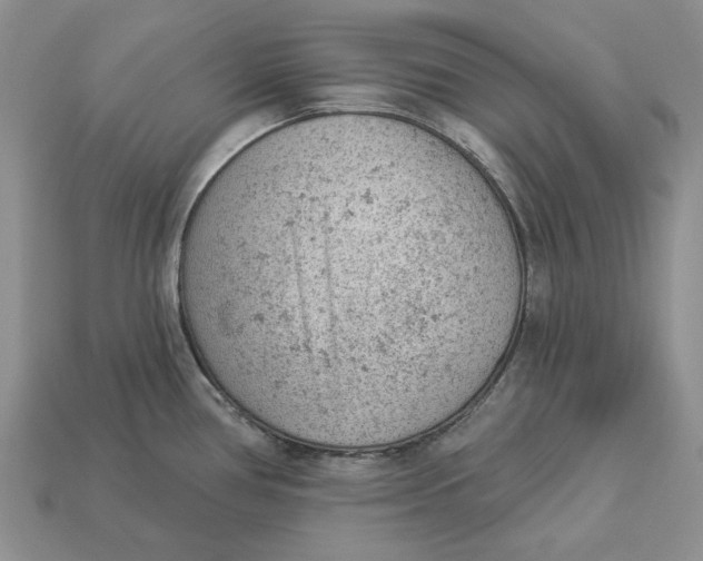 X0000112781386200909101603