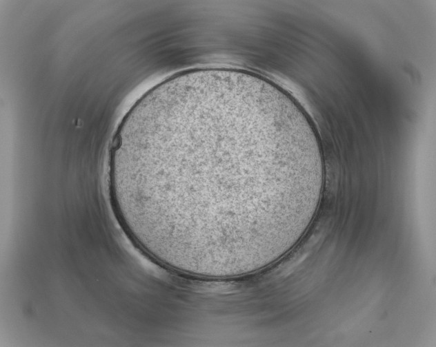 X0000112781387200909101603