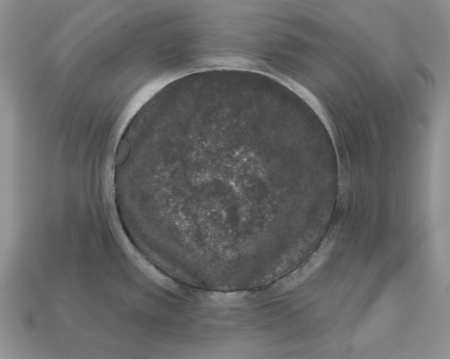 X0000112781389200909101603