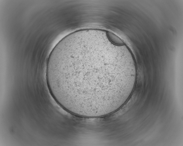 X0000112781390200909101603