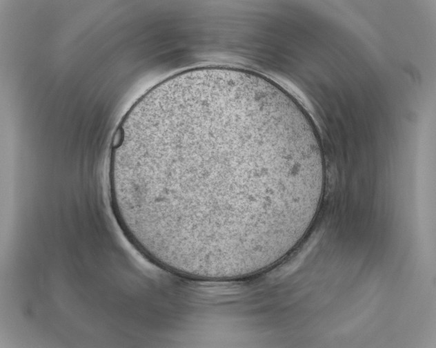 X0000112781391200909101603