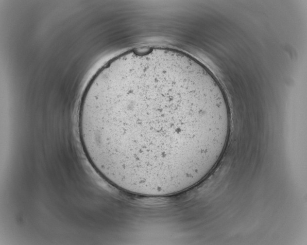 X0000112781392200909101603