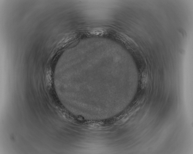 X0000112781394200909101602