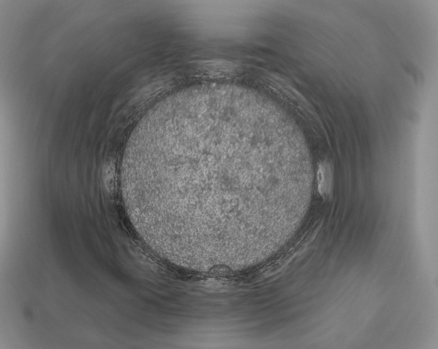 X0000112781395200909101602