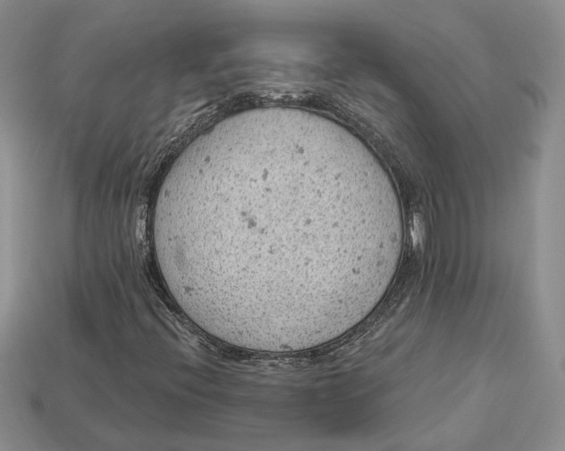 X0000112781396200909101602