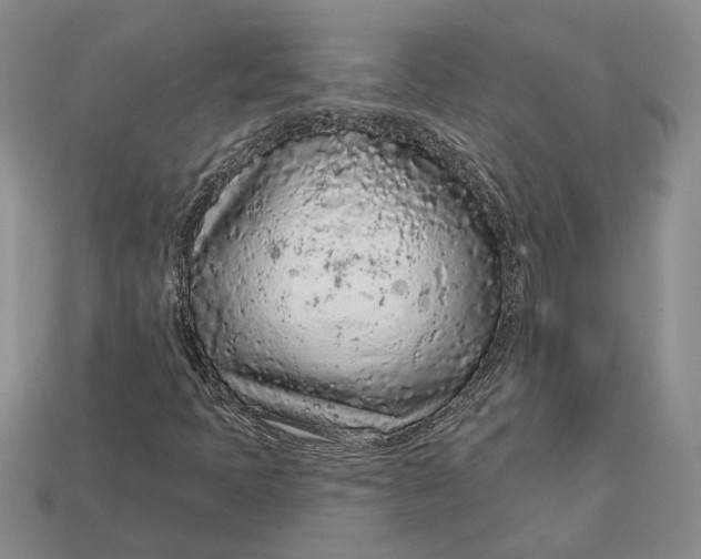 X0000112781397200909101602