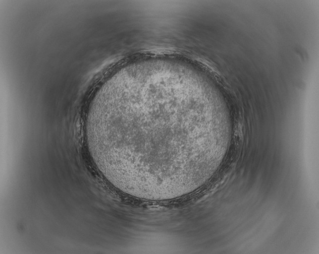 X0000112781398200909101602