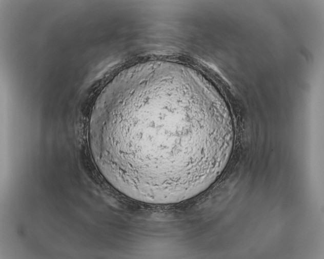 X0000112781399200909101602