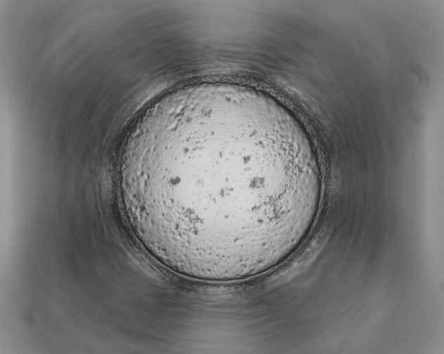 X0000112781401200909101602