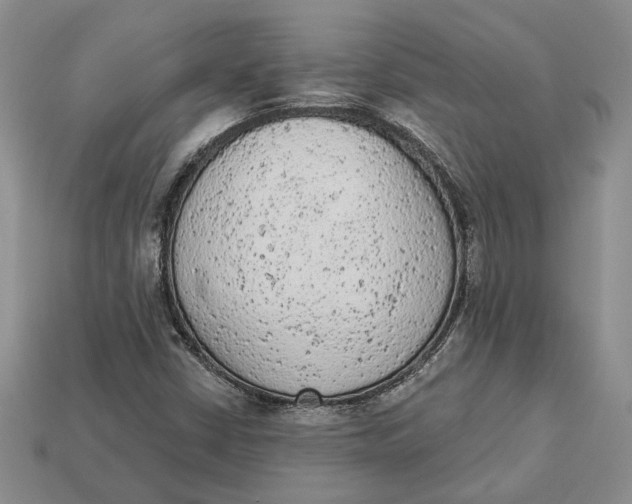 X0000112781402200909101602