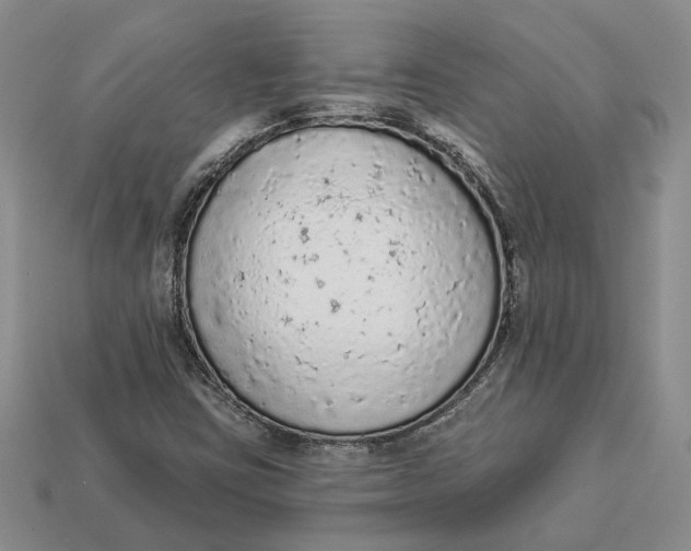 X0000112781403200909101602