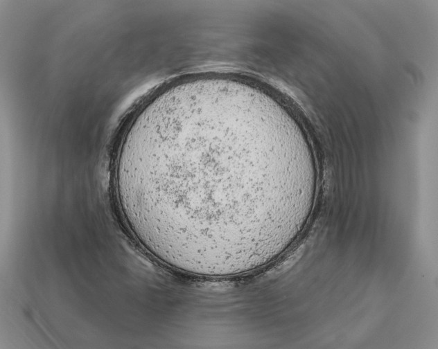 X0000112781406200909101602