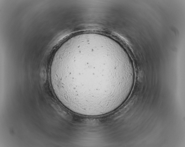 X0000112781407200909101602