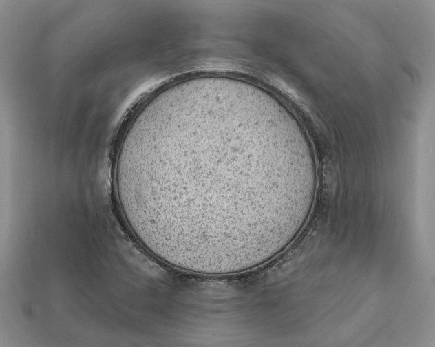 X0000112781408200909101602